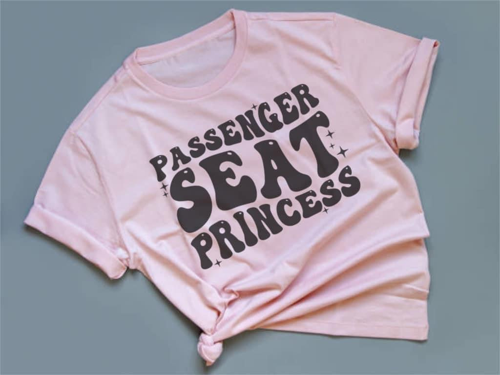 Passenger Seat Princess
